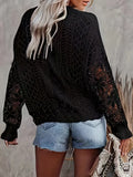 Solid Crew Neck Contrast Lace Pullover Sweater, Casual Long Sleeve Sweater For Spring & Winter, Women's Clothing