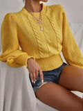 Twist Patten Crew Neck Pullover Sweater, Casual Lantern Sleeve Sweater For Fall & Winter, Women's Clothing