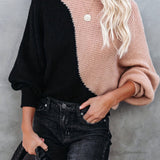 Color Block Crew Neck Pullover Sweater, Casual Long Sleeve Sweater For Spring & Fall, Women's Clothing
