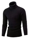 Plus Size Men's Cable Knit Sweater Stylish Turtleneck Pullover Fall Winter, Men's Clothing