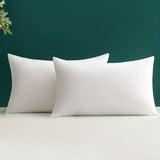 2pcs Soft Fluffy Throw Pillow Inserts, Square Plump Stuffer Cushion Pillow Core White for Christmas Decor Hotel Bed Sofa Home Decor