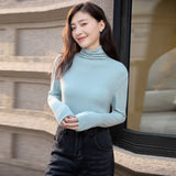 Simple solid color heap collar bottoming shirt women's  spring new temperament slim fit inside can be worn outside long-sleeved top