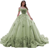 2025Express Tulle Adult Dress Suspender Ball Dress Lace Lace Decal Puff Dress Color Dress Wedding Dress
