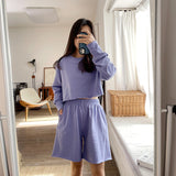 Spring new lazy style casual short sweater solid color long sleeves loose home wear comfortable versatile sports women