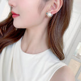 2025 S925 silver needle new fashion temperament earrings niche high-end trendy earrings simple versatile zircon pearl stud earrings