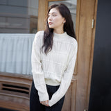 Hollow grid sweater women's spring and autumn new design sense solid color top threaded semi-turtleneck long-sleeved knitted sweater women