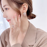 2025 Cross-border wish hot-selling cute and fresh summer earrings colored zircon fashion fruit earrings silver needle grape stud earrings