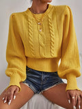 Twist Patten Crew Neck Pullover Sweater, Casual Lantern Sleeve Sweater For Fall & Winter, Women's Clothing